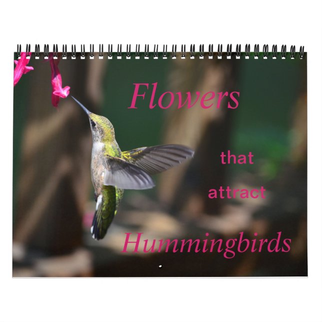 Fleurs qui attirent calendrier des colibris (Protection)