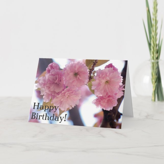 Fleurs roses Carte de Bénédiction Anniversaire (Devant)
