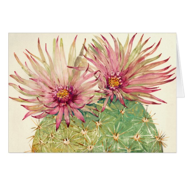 Fleurs roses de cactus (Devant horizontal)