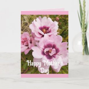 Fleurs roses Floral Rose Roses Carte de jour des m