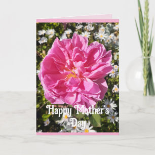 Fleurs roses Floral Rose Roses Carte de jour des m