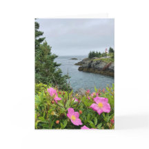 fleurs roses sur la carte de la mer (vierges à l'i
