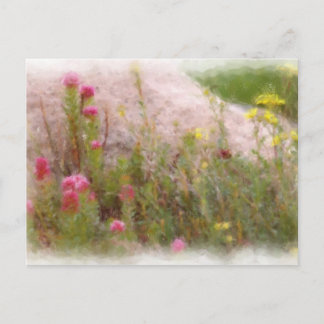 FLEURS SAUVAGES 1 CARTE POSTALE