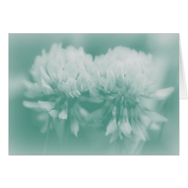 Fleurs sauvages blancs (Devant horizontal)