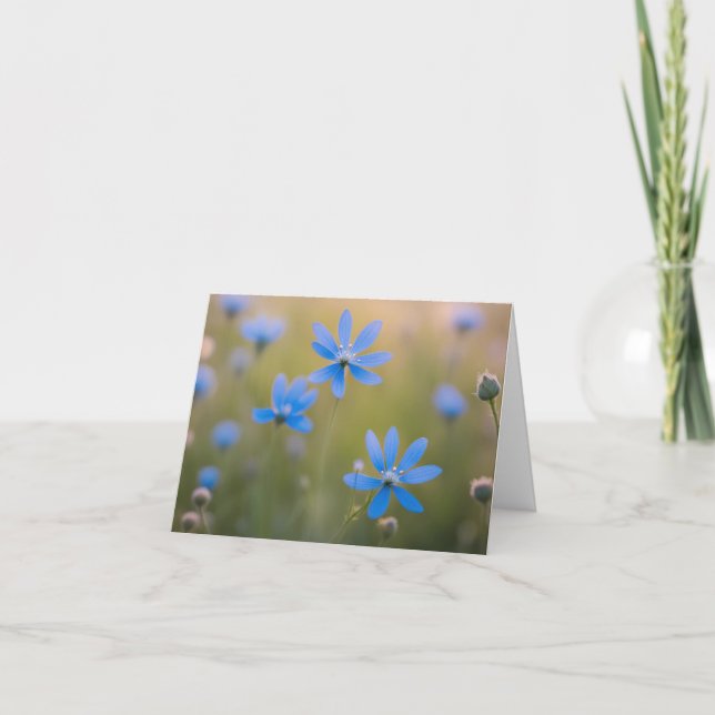Fleurs sauvages bleus dans le pré (Devant)