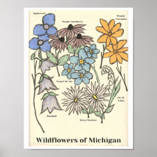 Fleurs sauvages du Michigan Impression d'art dessi