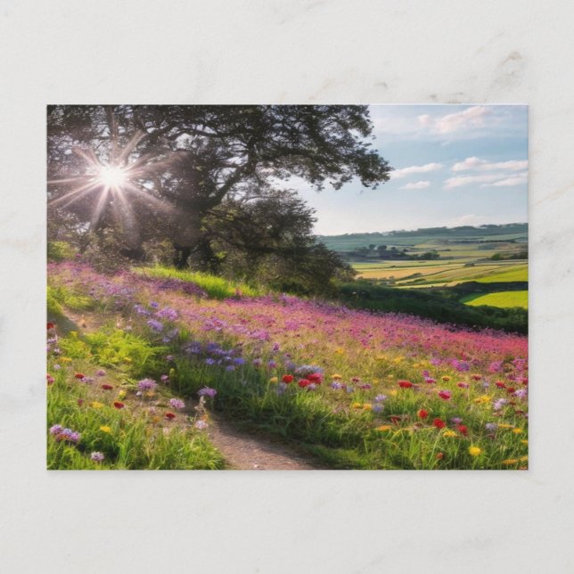 Fleurs sauvages ensoleillés dans le pays Carte pos (Devant)
