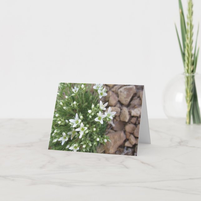 Fleurs sauvages et carte pour notes blancs (Devant)