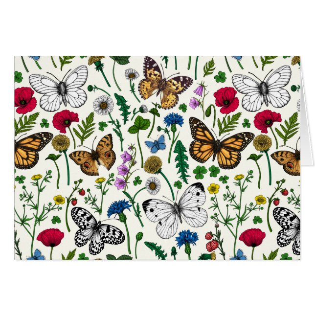 Fleurs sauvages et papillons sur blanc (Devant horizontal)