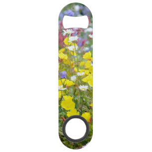 Fleurs sauvages jaunes