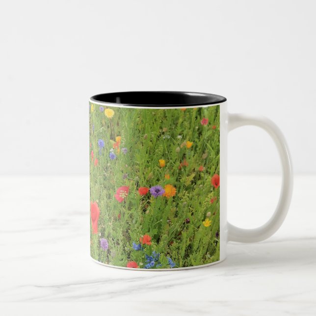 Fleurs sauvages Printemps Photo Mug à deux tons (Droit)