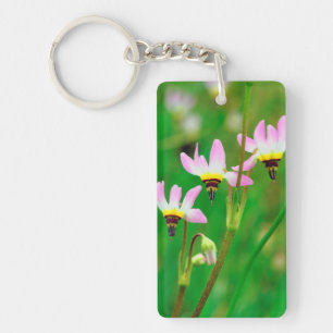Fleurs sauvages Shooting Star dans le parc Mission