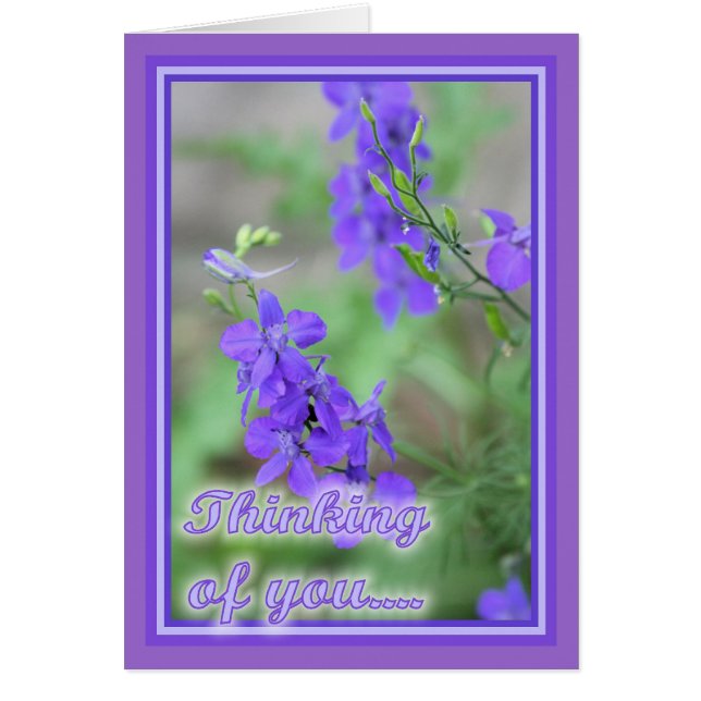 Fleurs sauvages violettes (Devant)