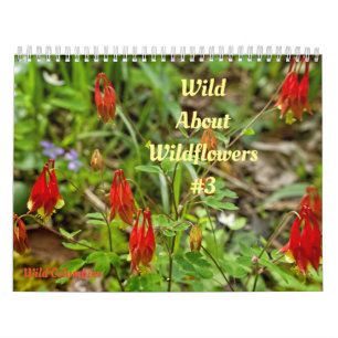 Fleurs sauvages Wild Abourt #3 Calendrier