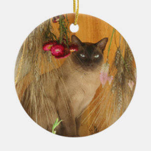 Fleurs séchées de chats siamois Ornement animal