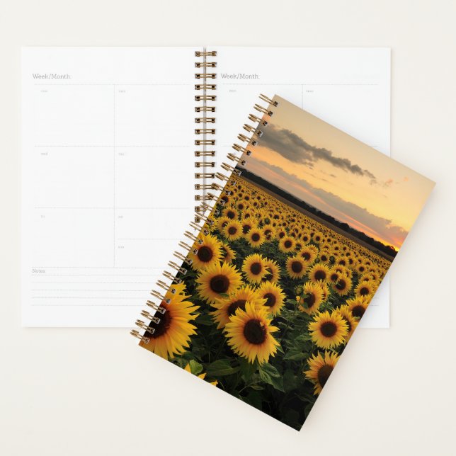 Fleurs | Terrain de tournesol (Devant avec enveloppe)