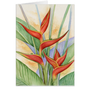 Fleurs tropicales rouges de Heliconia peignant -