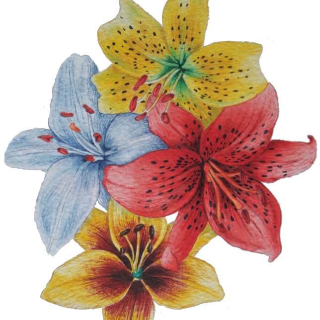 fleurs uniques grandes et audacieuses colorées flo (Créateur téléchargé)