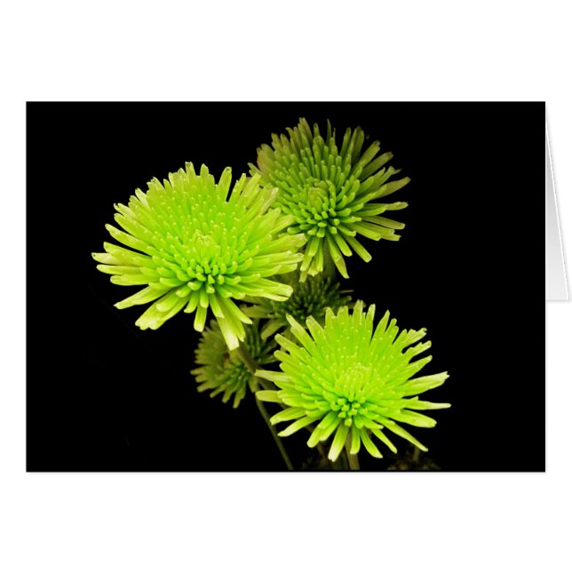 Fleurs vertes (Devant horizontal)