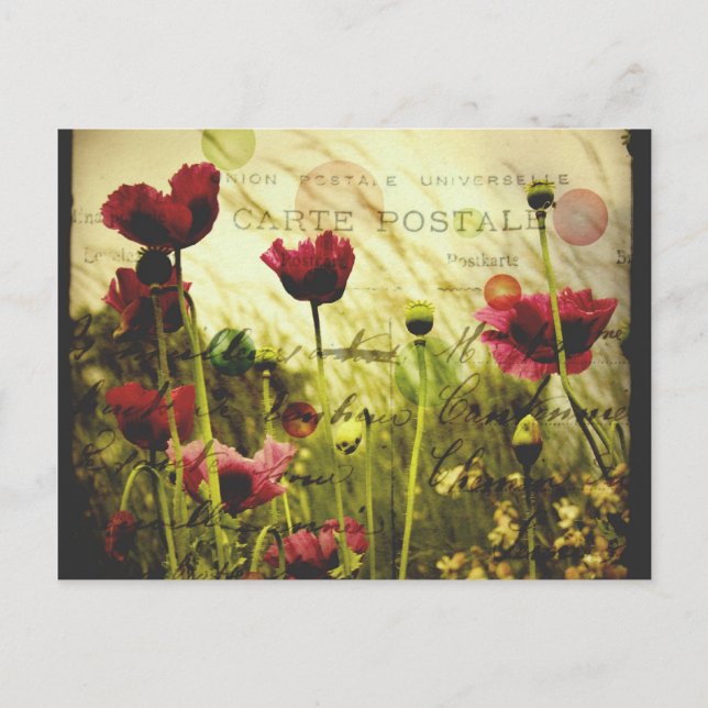 Fleurs vintages Carte postale (Devant)