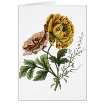 Fleurs vintages de pavot