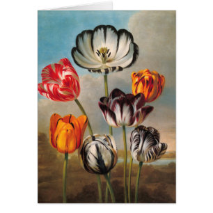 Fleurs vintages de tulipes variées dans un paysage