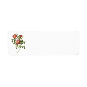 Fleurs vintages Rose florale rouge de l'amour par 