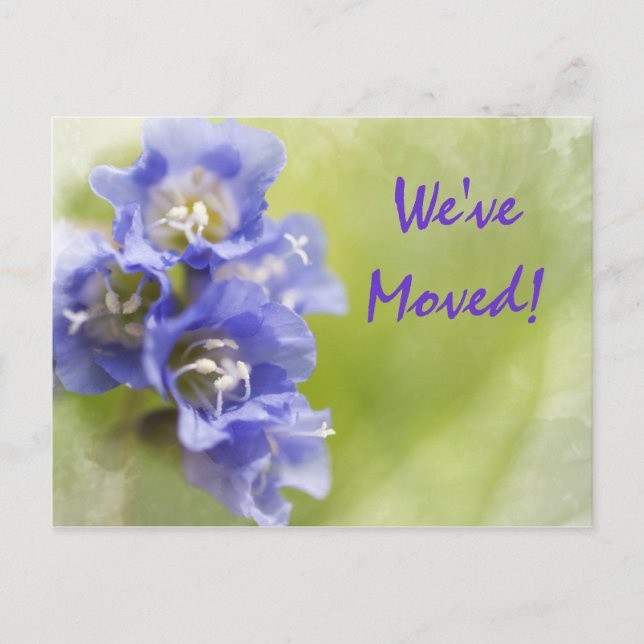 Fleurs violettes Changement d'adresse Faire-part (Devant)