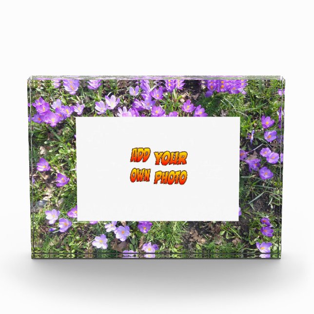 Fleurs Violettes Crocus Cust. Bloc photo (Devant)