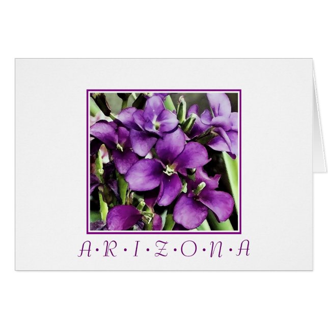 Fleurs violettes de l'Arizona (Devant Horizontal)