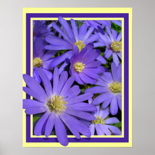 Fleurs violettes Imprimer Bleu Faisceaux Poster d'