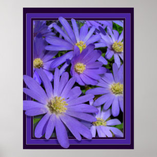 Fleurs violettes Imprimer Bleu Faisceaux Poster d'
