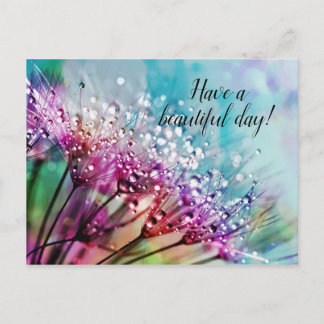 Fleurs violettes sur carte postale personnalisée b