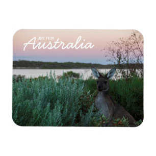 Flexible Amour de Australie Kangaroo Sunset Lake Magnet