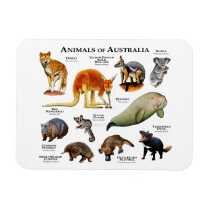Flexible Animaux du Magnet australien