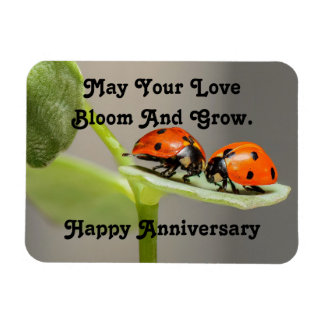 Flexible Anniversaire Ladybugs Photo Magnet