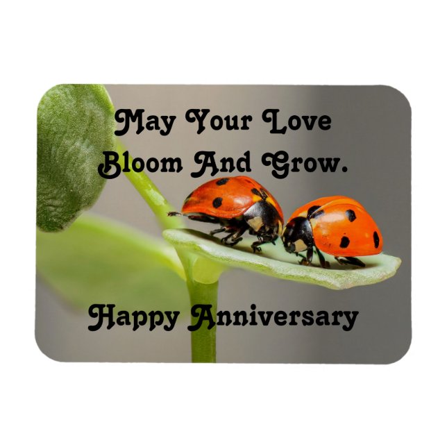 Flexible Anniversaire Ladybugs Photo Magnet (Horizontal)