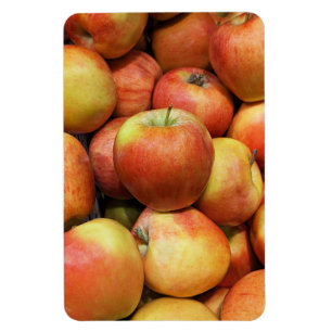 Flexible Apple Photo Magnet