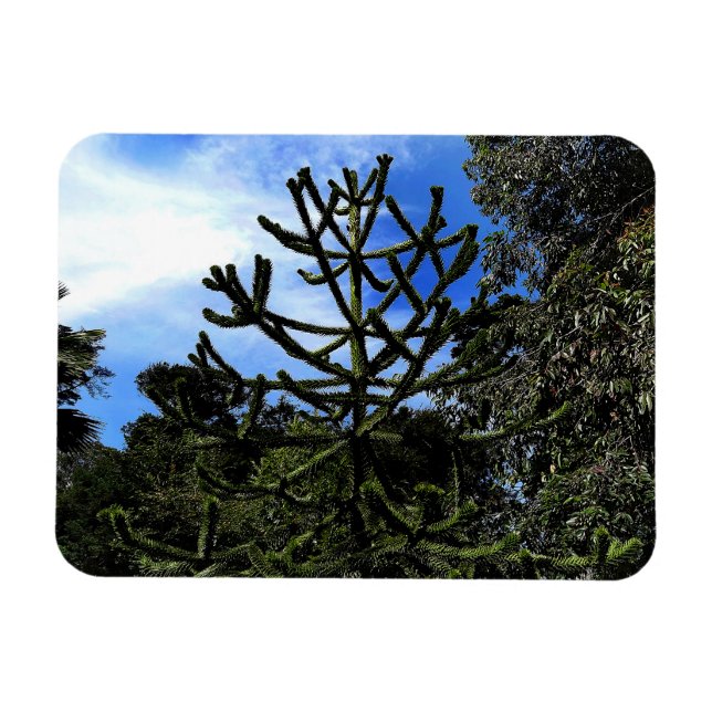 Flexible Arbre de puzzle de singe #1 Magnet (Horizontal)