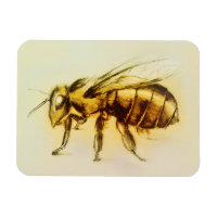Art réaliste de frelon jaune, Magnet Photo - Abeil