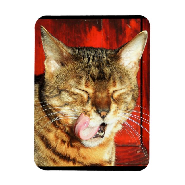 Flexible Bengale Love Photo Magnet (Vertical)