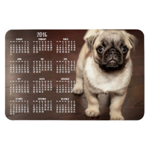 Flexible Calendrier Chien 2016 Photo Grand Magnet 4x6