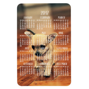 Flexible Calendrier Chihuahua 2017 Magnet photo 4x6 grand