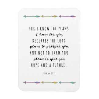 Flexible Car je connais les plans que j'ai pour vous Magnet