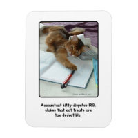 Comptable Kitty Magnet