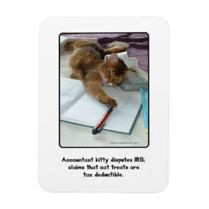 Flexible Comptable Kitty Magnet