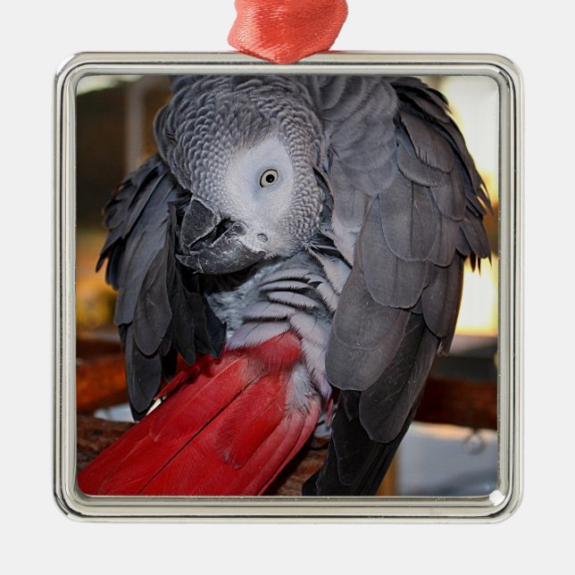 Flexible Congo African Grey Parrot with Red Tail Metal Ornament (Front)