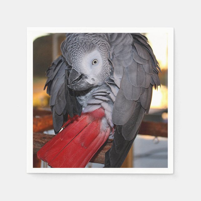 Flexible Congo African Grey Parrot with Red Tail Napkin (Front)