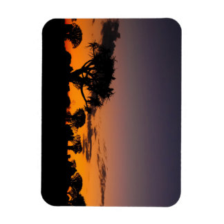 Flexible Coucher de soleil en Namibie Magnet