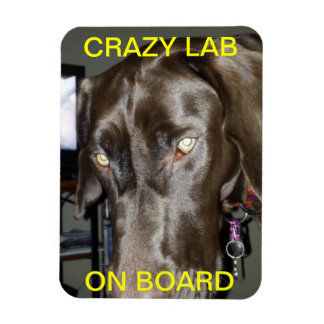 Flexible Crazy Lab Sur Le Magnet De Bord
